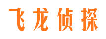 沙湾区飞龙私家侦探公司